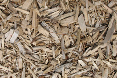 biomass boilers Inchture